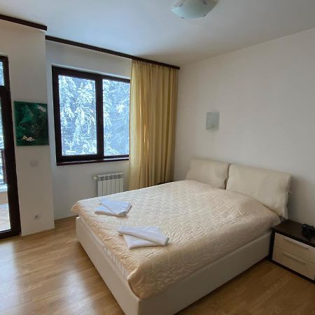 Charming Winter Studio Borovets Esterno foto