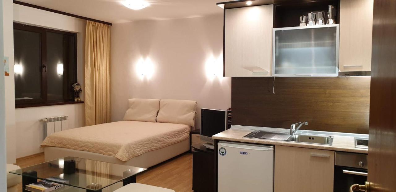 Charming Winter Studio Borovets Esterno foto