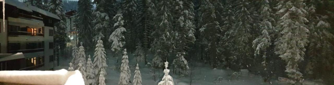 Charming Winter Studio Borovets Esterno foto