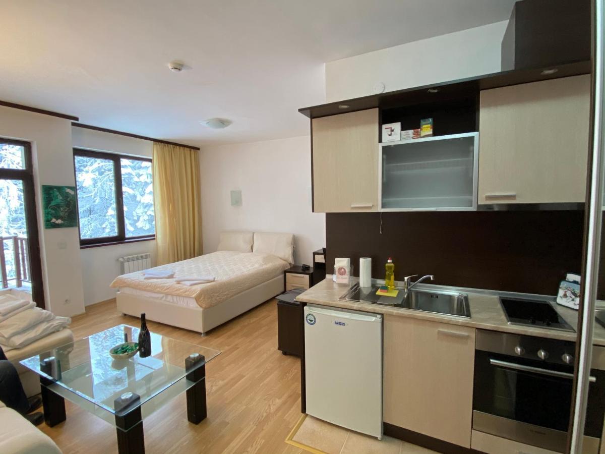 Charming Winter Studio Borovets Esterno foto